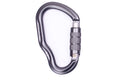 FA DIZZY AUTOLOCK carabiner