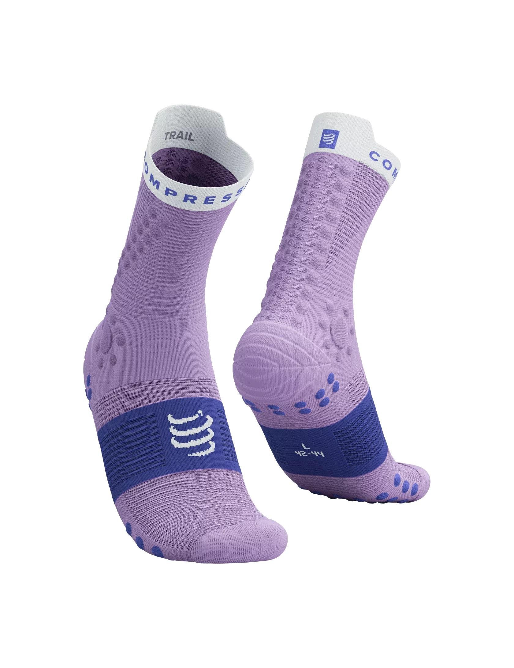CS Training Socks 2-Pack, Lupine/Dazz Blue, T3