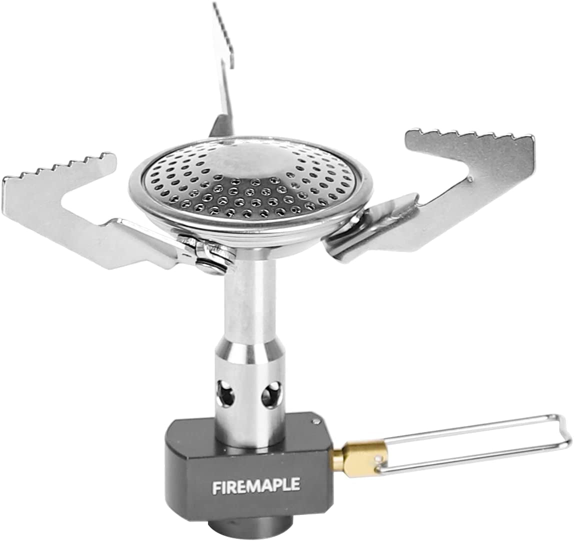 FM Buzz burner is portable